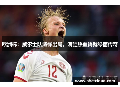 欧洲杯：威尔士队遗憾出局，满腔热血铸就绿茵传奇