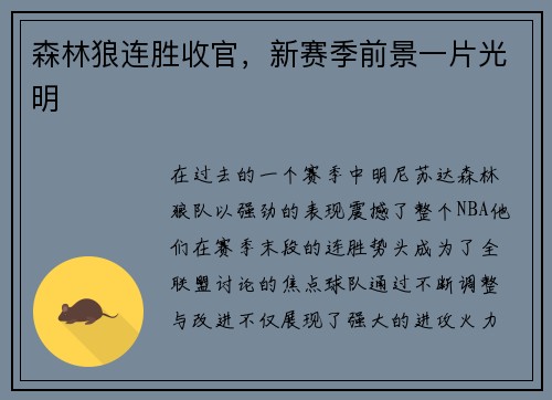 森林狼连胜收官，新赛季前景一片光明
